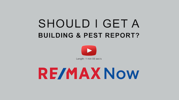 Should I get a building & pest report
