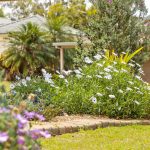 1 Mirrigan Court, Petrie, QLD 4502 AUS