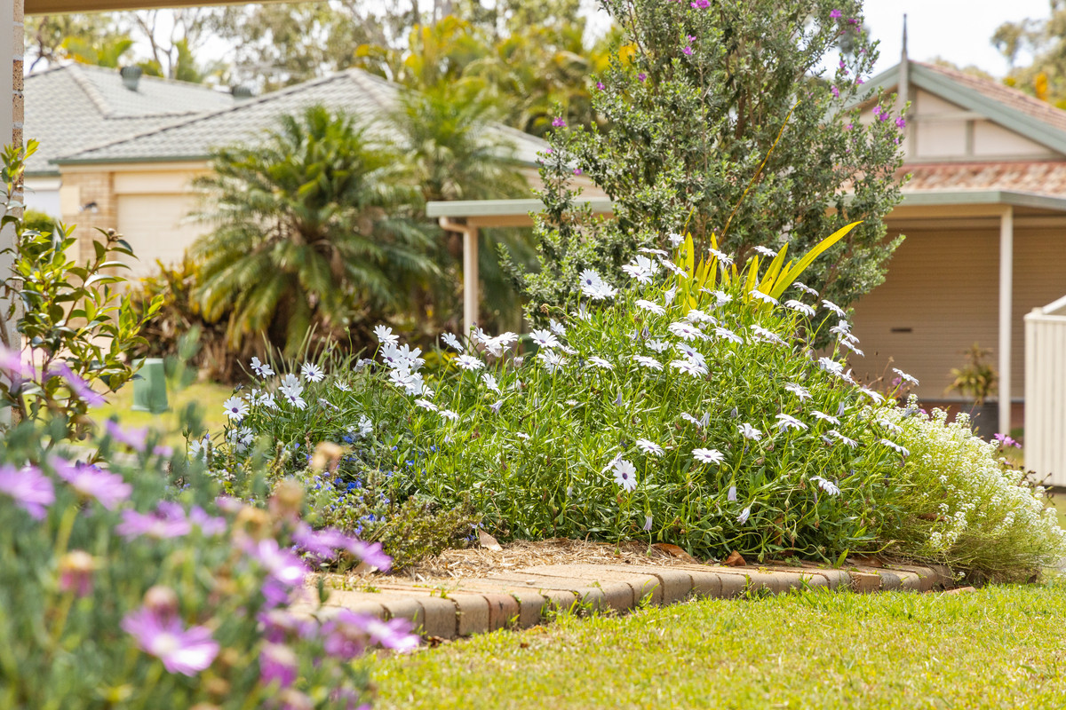 1 Mirrigan Court, Petrie, QLD 4502 AUS