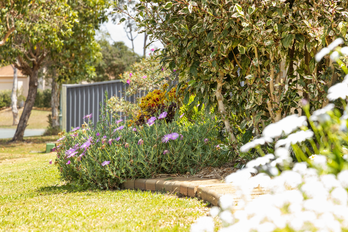 1 Mirrigan Court, Petrie, QLD 4502 AUS
