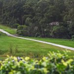 63 Burdekin Circuit, WARNER, QLD 4500 AUS