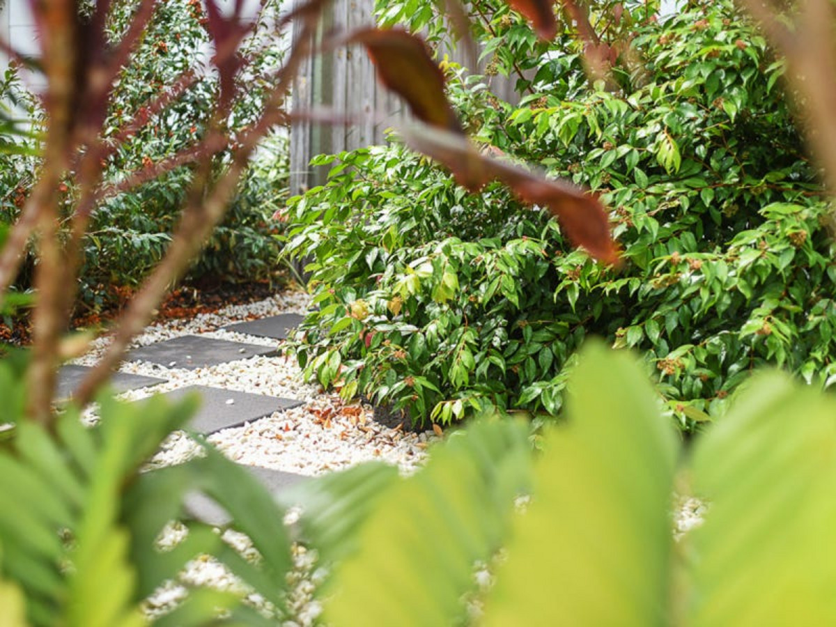 127 Cootharaba Crescent, WARNER, QLD 4500 AUS