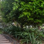 98 Swan Parade, WARNER, QLD 4500 AUS