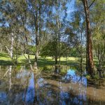25 Whiteside Road, Whiteside, QLD 4503 AUS